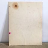 Watercolor and feather on paper 1930/40