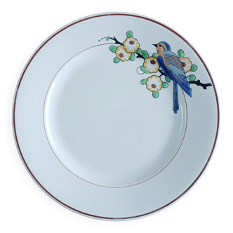 Longwy flat plate, Bird