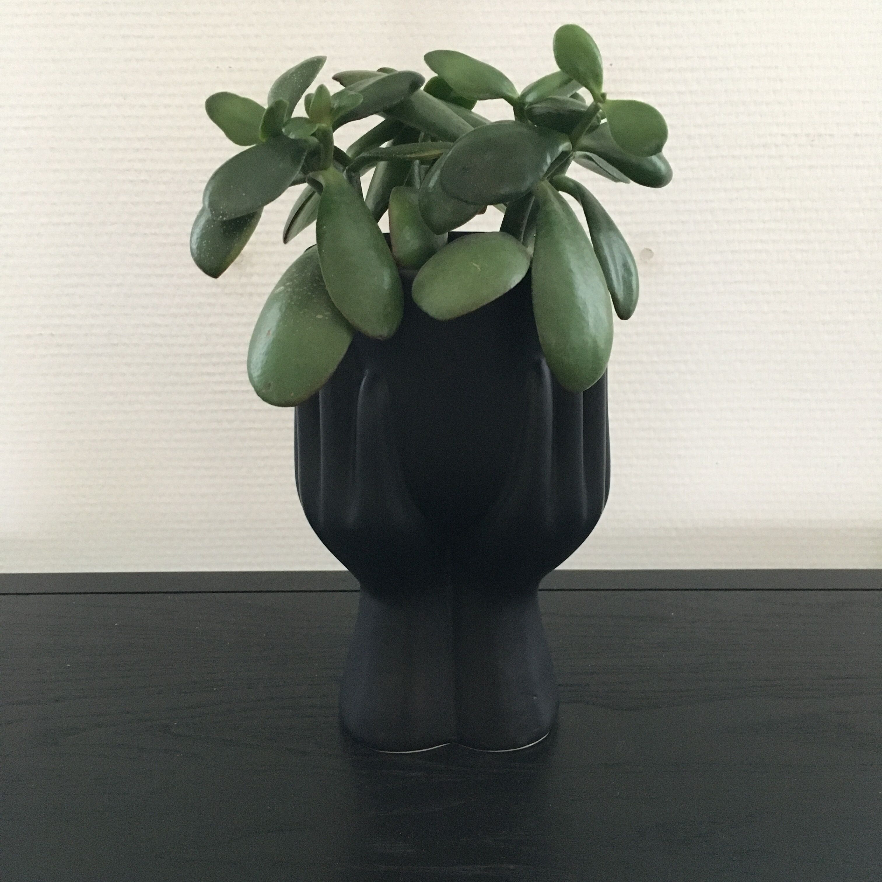 Black hand vase