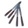 Set of 12 knives in "Clarisse" case