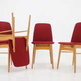 1960s set of 6 ash dining chairs, Czechoslovakia