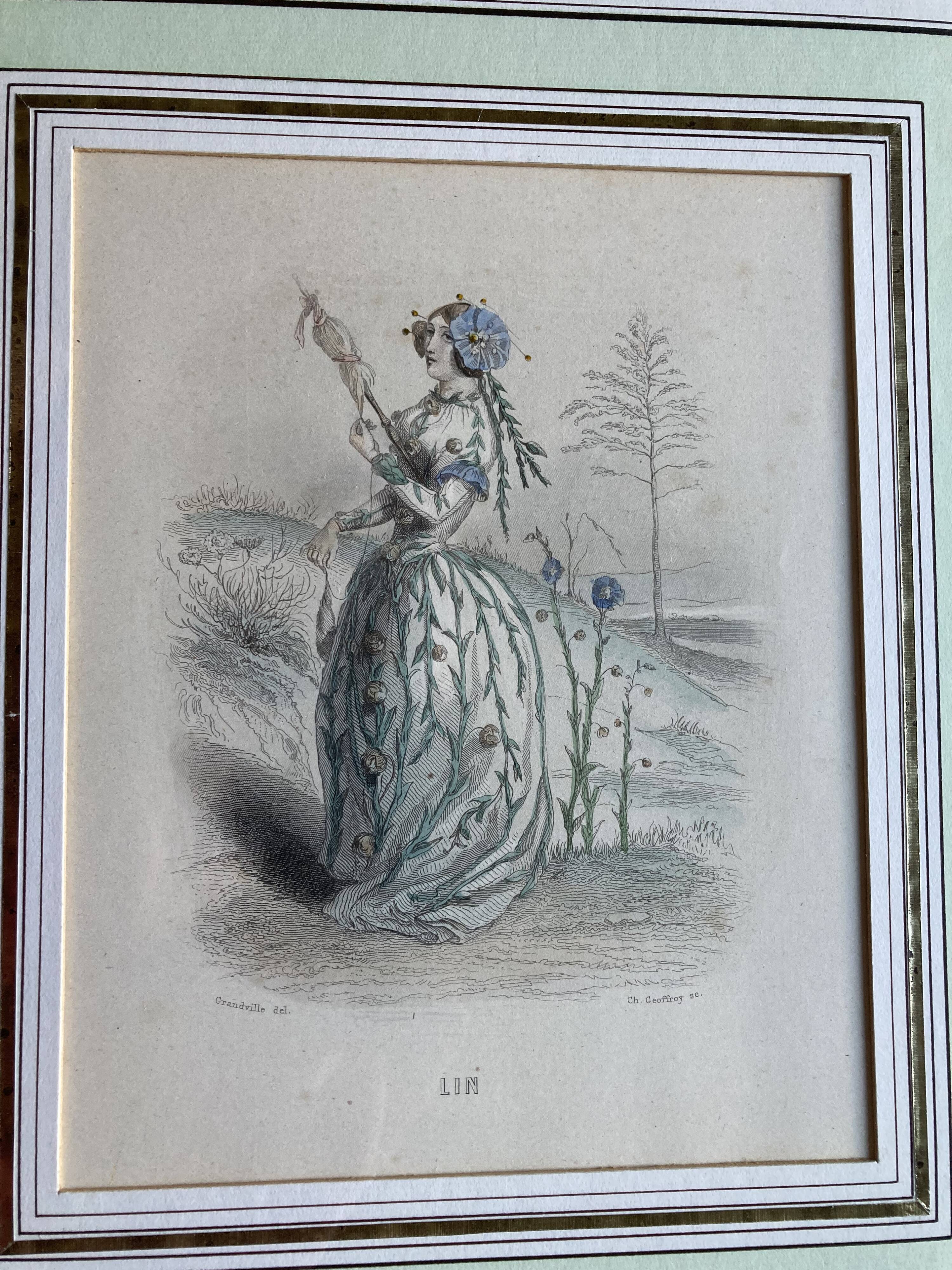 Framed engravings "animated flowers" - JJ Grandville