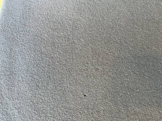 Saruyama Island Moroso