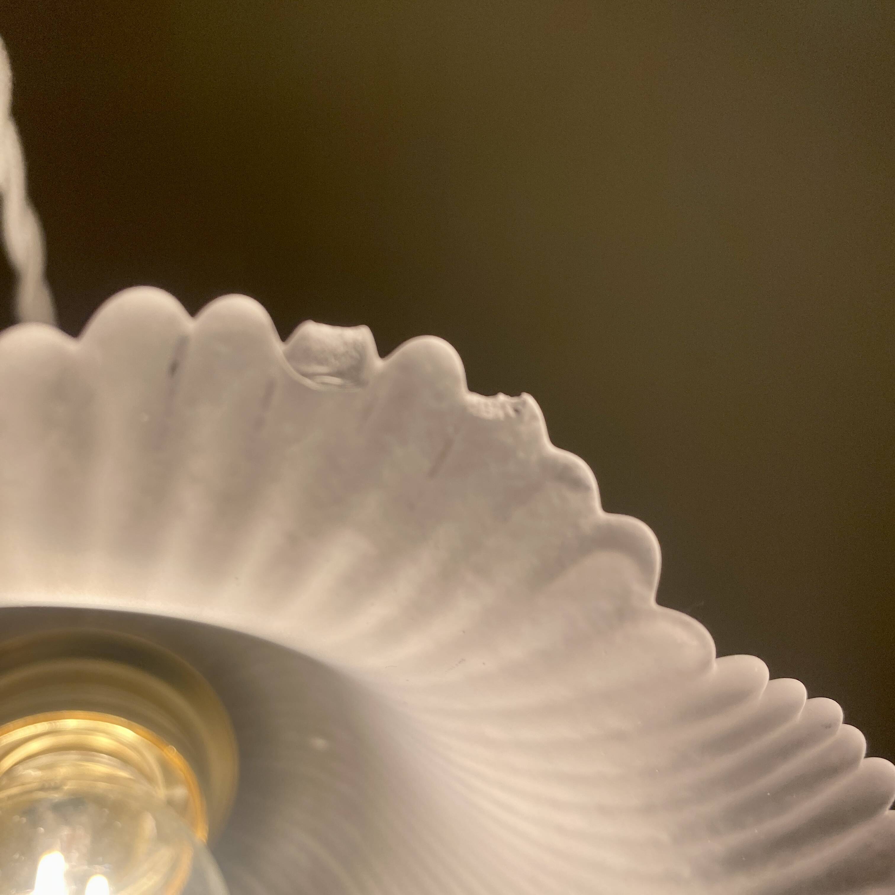 Vintage frosted glass lampshade pendant light