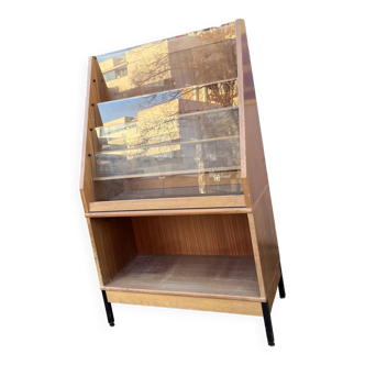 Book and disc cabinet