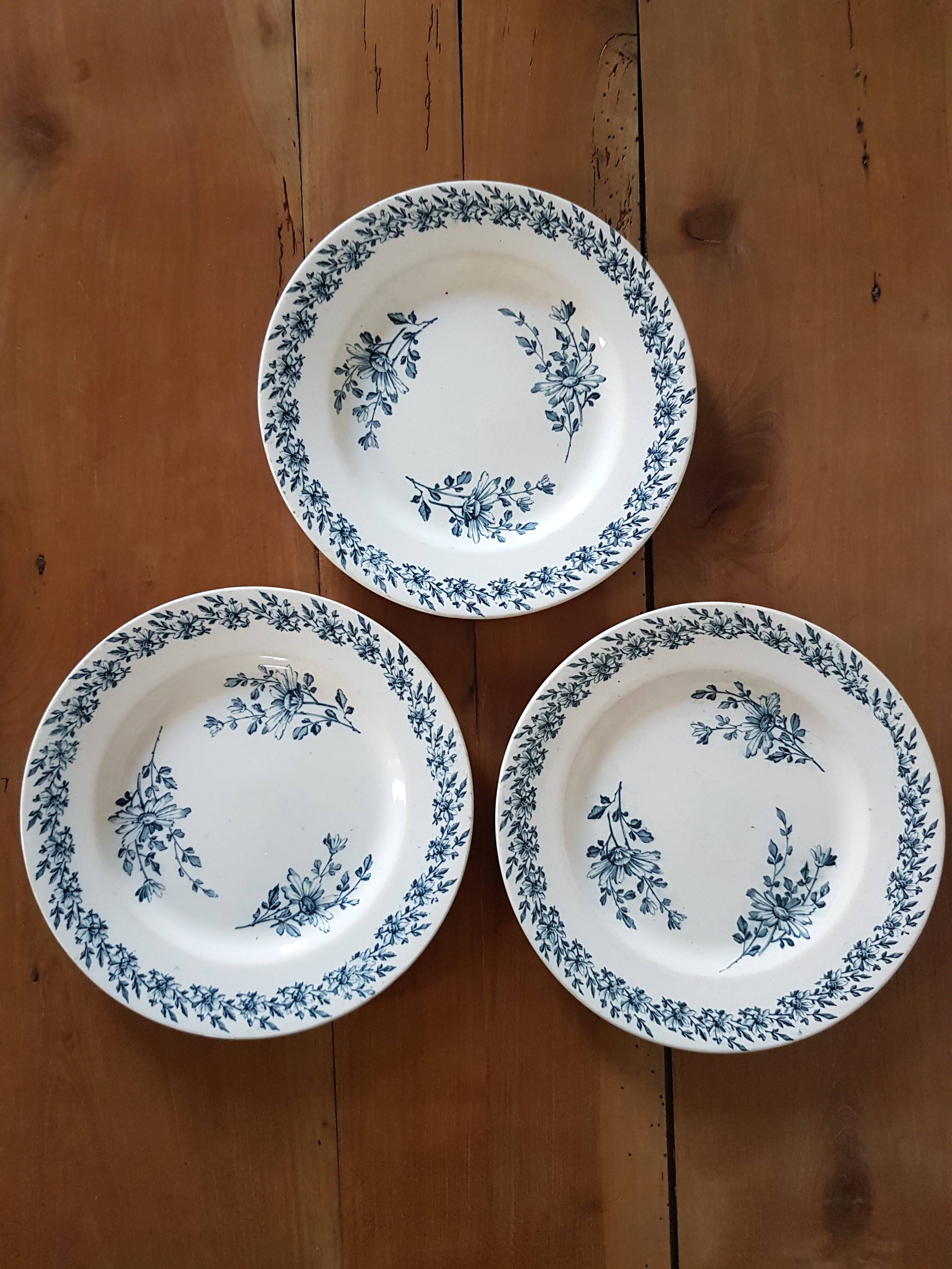Flat plates Luneville - Daisies