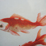Old framed lithograph: goldfish