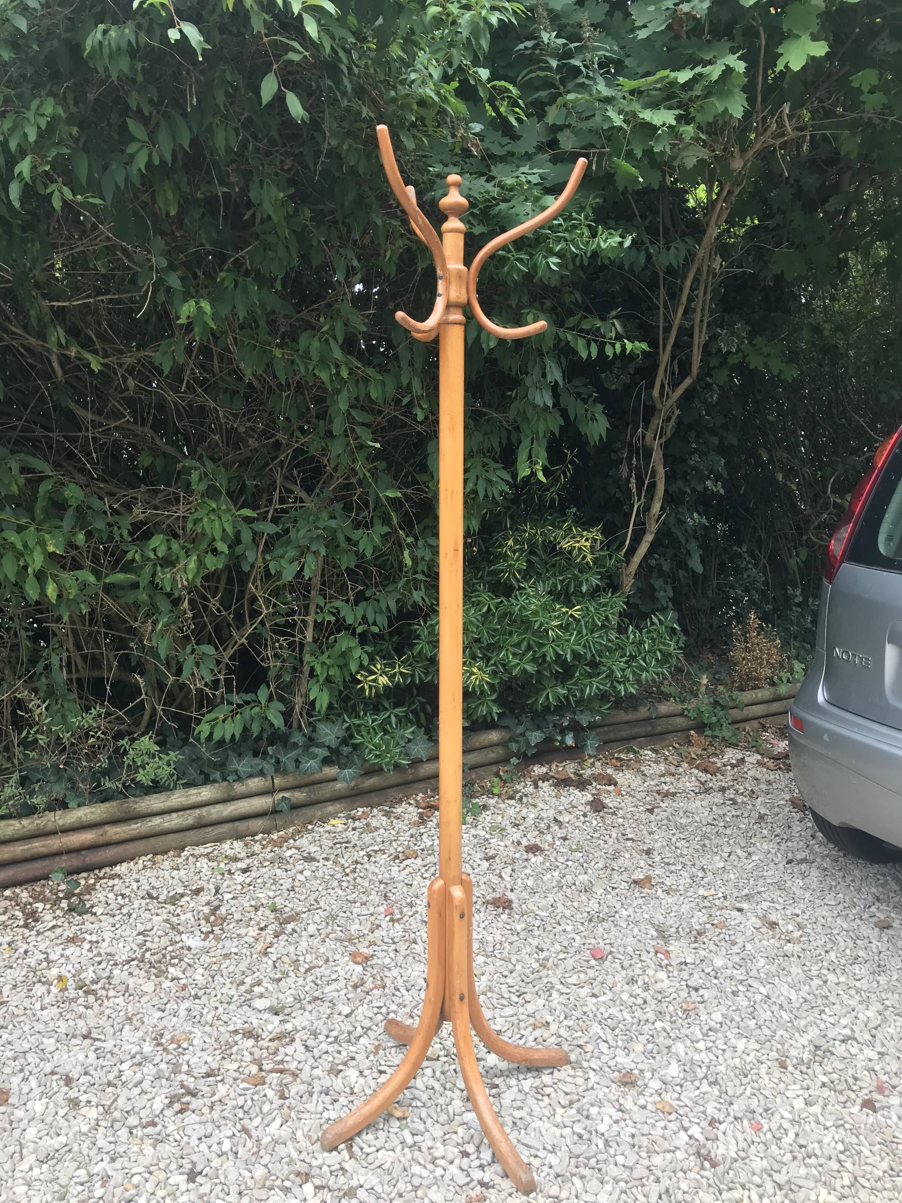 Parrot coat holder