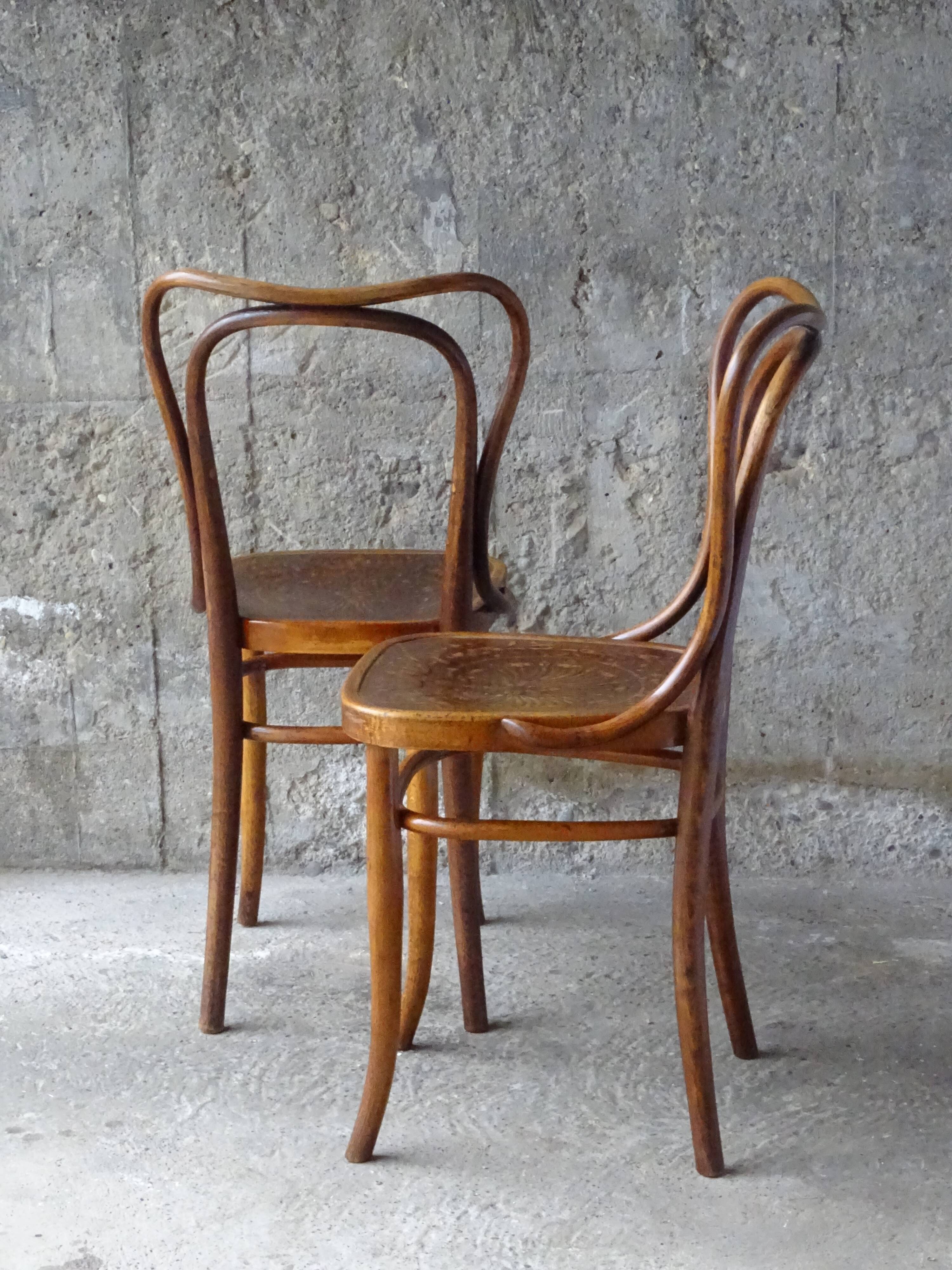 Chaises Kohn N°55 hauteu assise 46 cm
