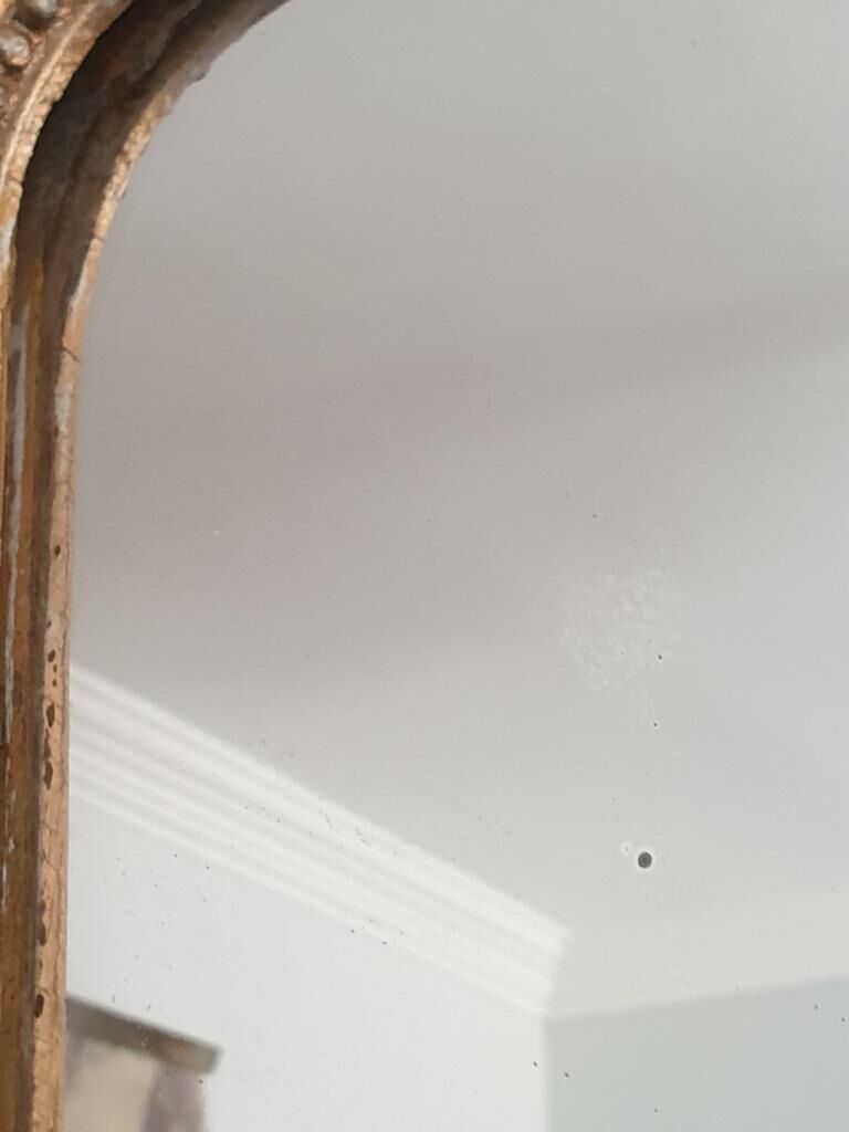 Louis Philippe Mirror 81x122cm