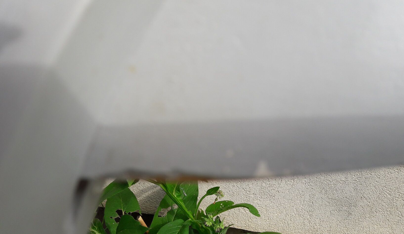 Folding chair Thonet