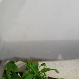 Folding chair Thonet