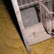 Old wooden bird cage