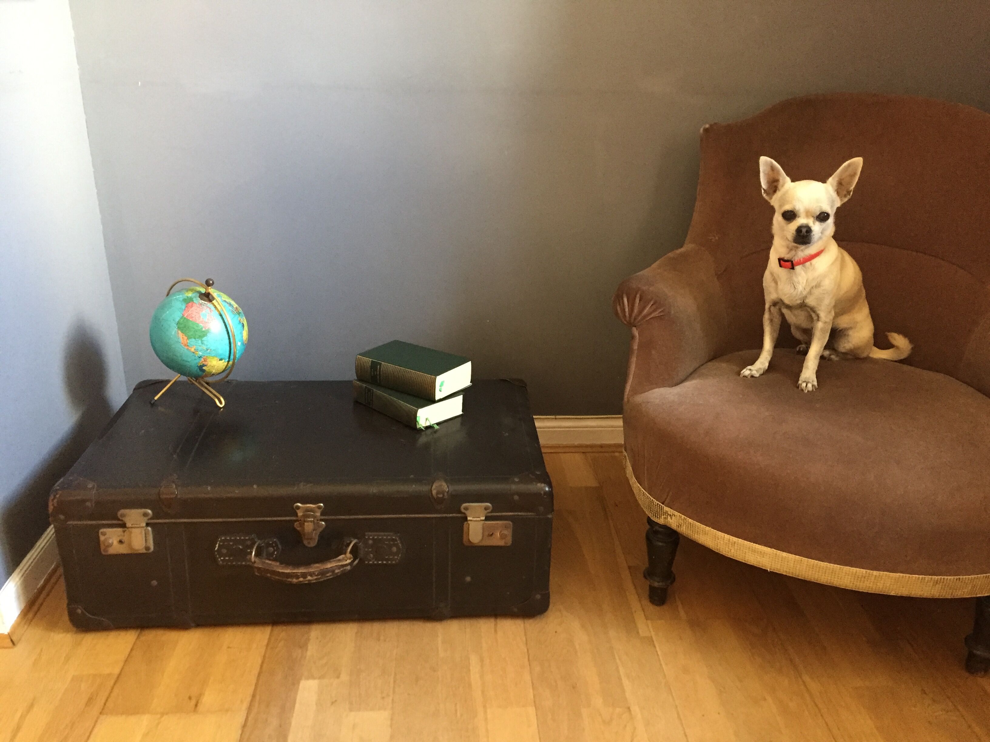 Valise ancienne vintage 1950