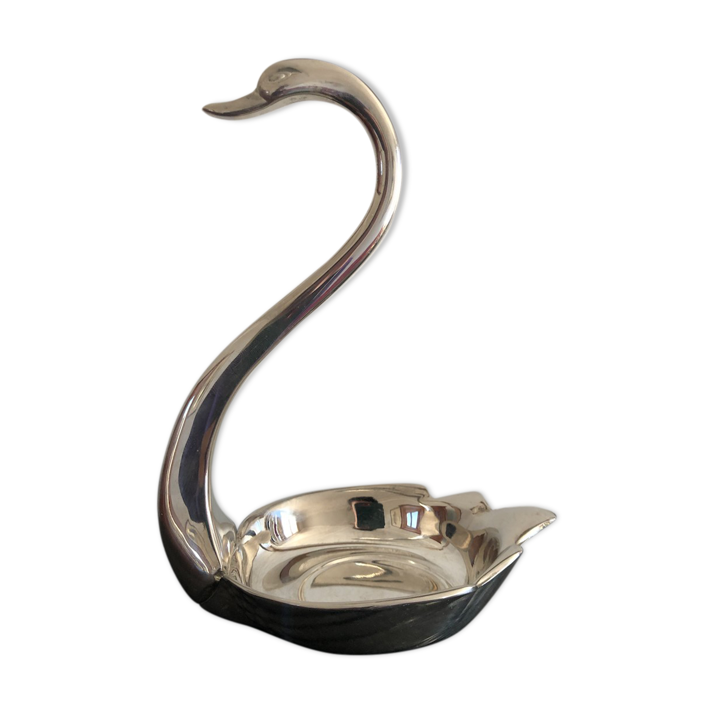 Empty silver swan pocket