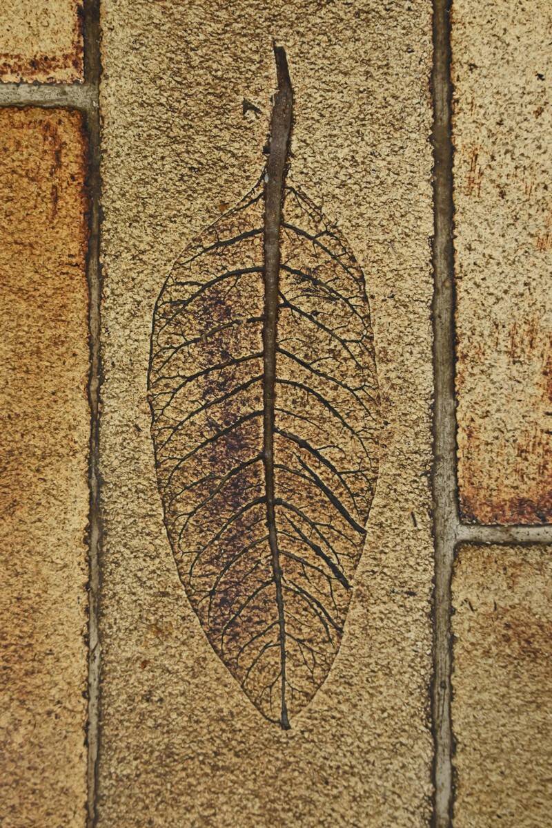 Coffee table signed R. Capron, Les Herbiers Collection, Vallauris – 1960