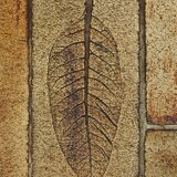 Coffee table signed R. Capron, Les Herbiers Collection, Vallauris – 1960