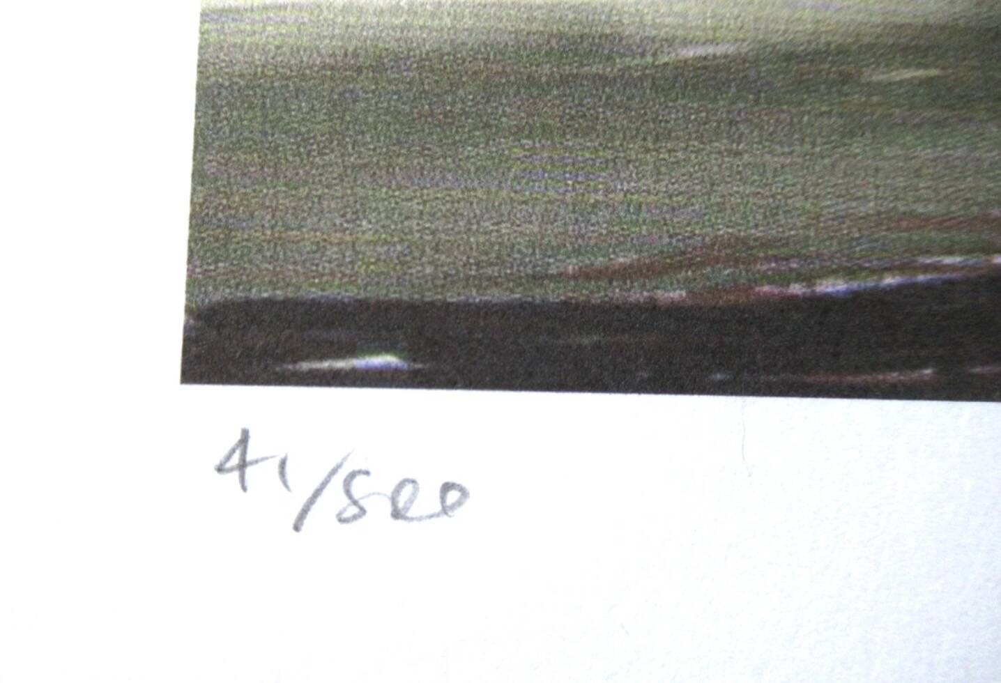 Lithograph by David Hockney, signed and numbered.