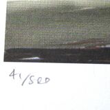 Lithograph by David Hockney, signed and numbered.