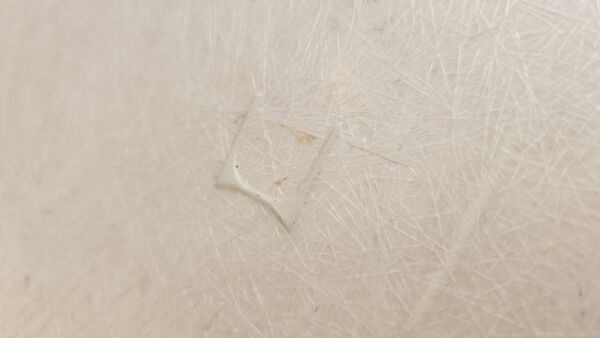 Chaise eames par herman miller - modèe dss