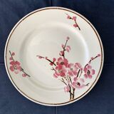 11 dessert plates Saint Amand Terre de Fer, 1930