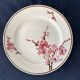 11 dessert plates Saint Amand Terre de Fer, 1930