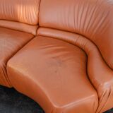 Canapé « DS-28 Cosmos » par Ubald Klug / De Sede