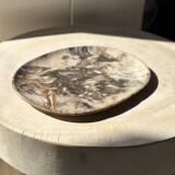 Very large pocket or dish in petrified wood
