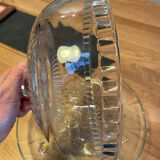 Glass cake or cheese display