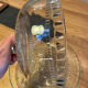 Glass cake or cheese display