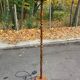 Vintage Italian Relco Milano floor lamp in carved solid wood