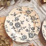 Duo of flat earthenware plates