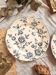 Duo d'assiettes plates en faïence
