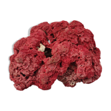 Coral to lay 25 cm