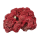 Corail a poser 25 cm