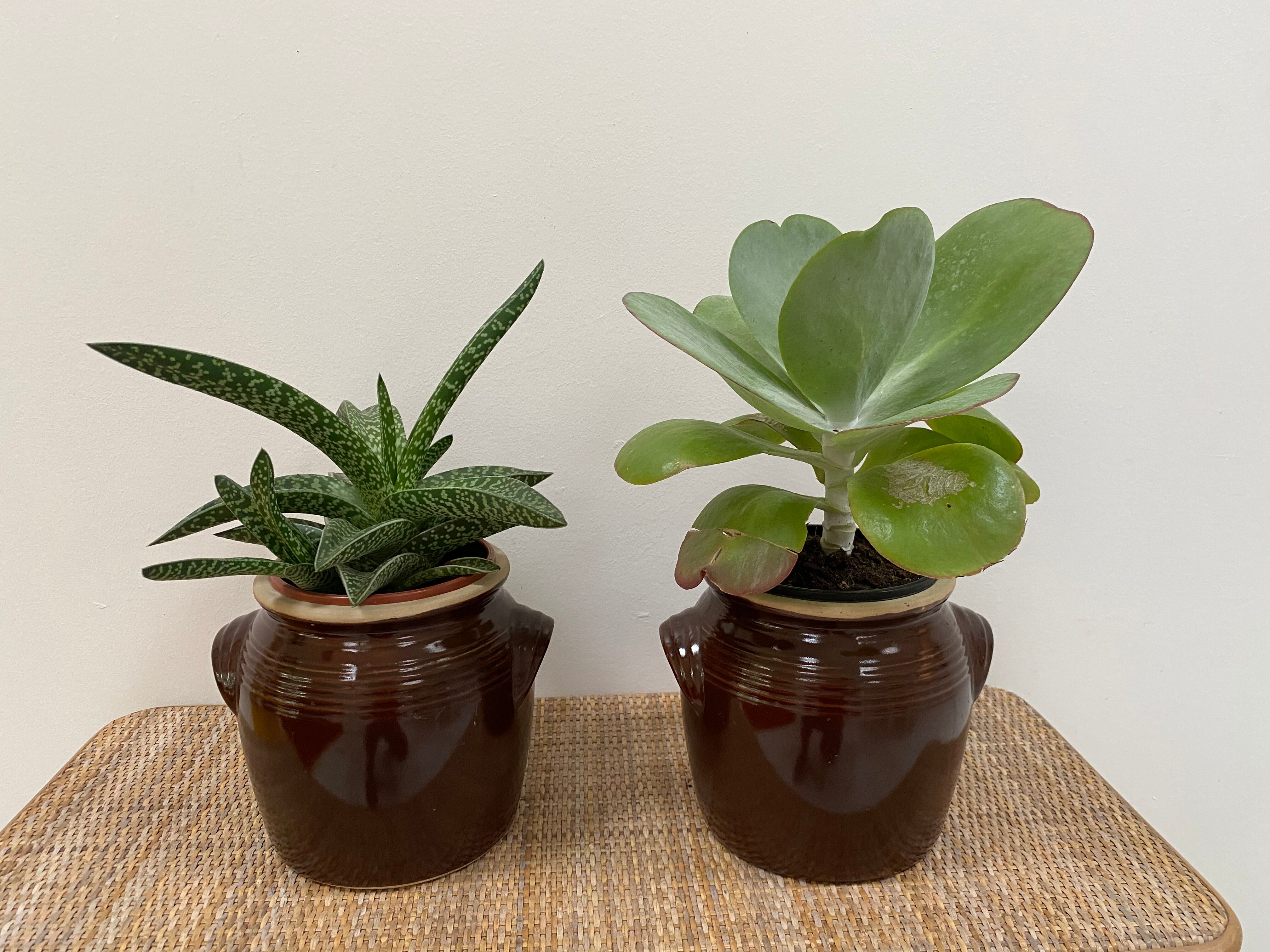 Old Gers candied sandstone pot