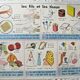 School poster - the hand the skin - the threads the fabrics