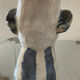 Vintage coq from the 60s in glazed stoneware