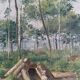 Hst painting "forest with cabin" lumberjack forestry early 20th century