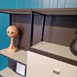 Pierre Guariche modular shelves for Meurop from the 60's