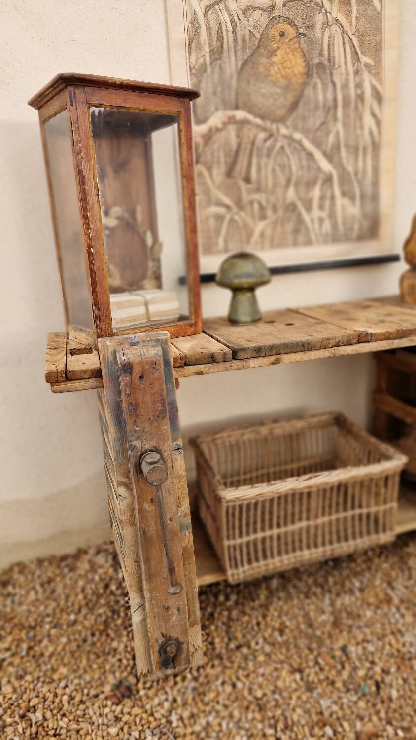 Ancient establishment