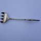 Sardine fork - WMFN
