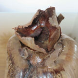 Naturalized coconut ice bucket 1970
