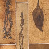 Table Roger Capron modele Herbier 1970
