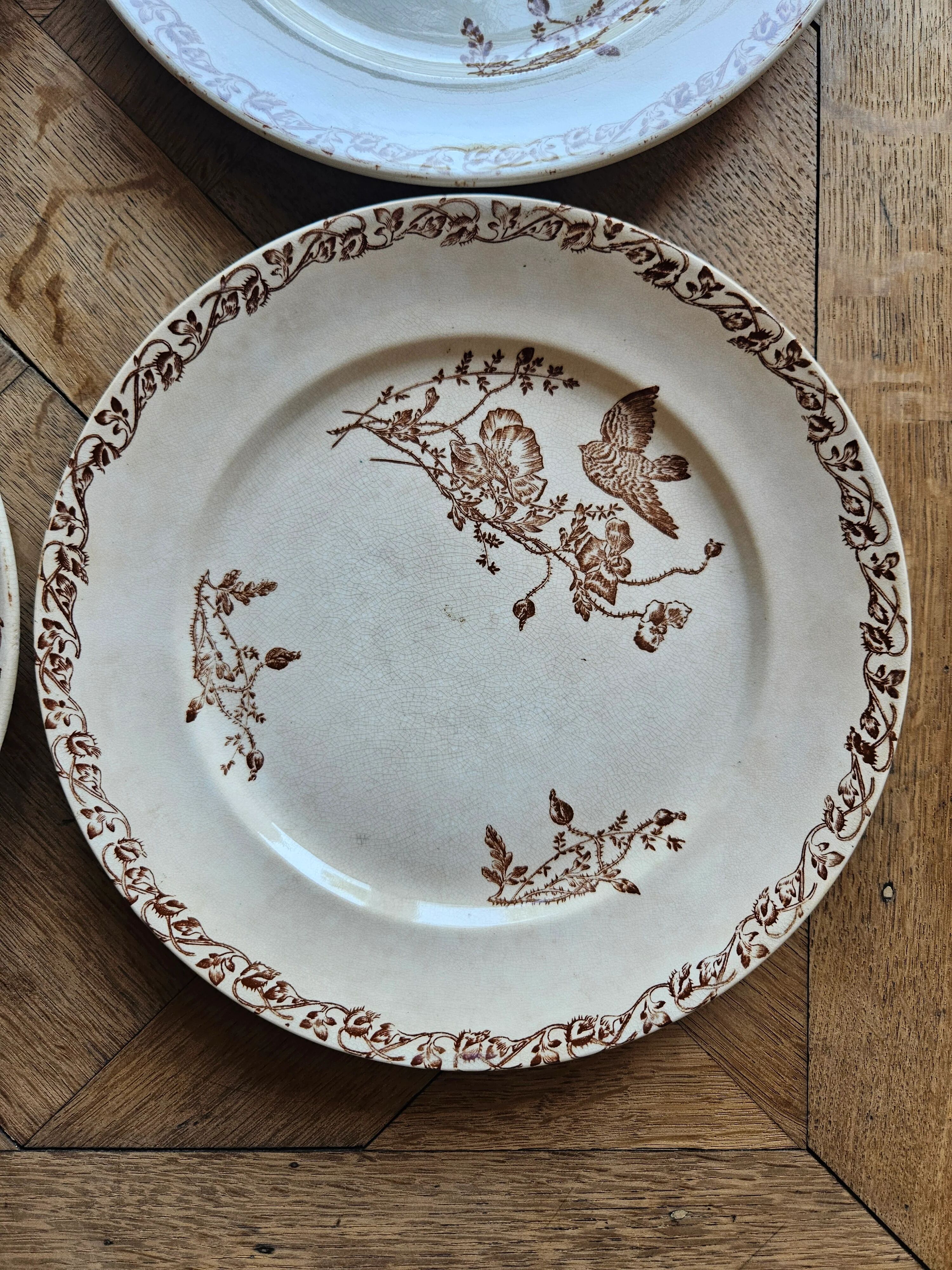 Flat plates, ironstone, poppies