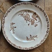 Flat plates, ironstone, poppies