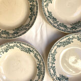 Assiettes terre de fer  Saint Amand et Homag