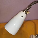 Kieklair natural science lamp, France, 1958