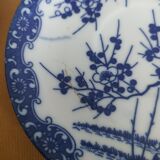 Saucers