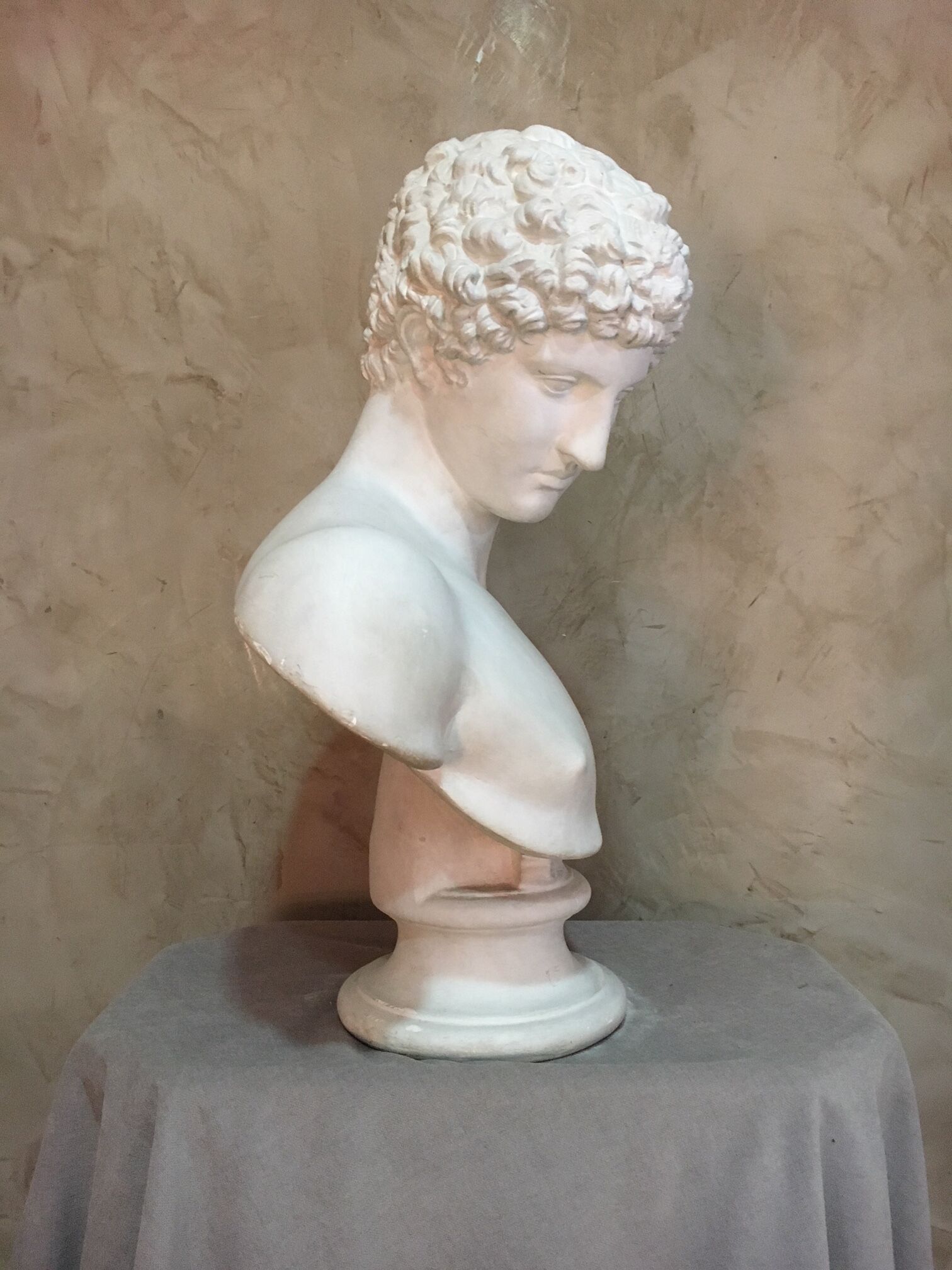 Apollo plaster bust